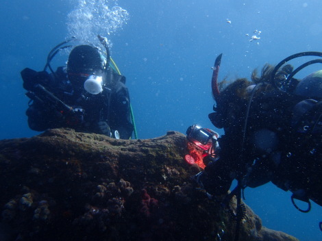 e0115199_17560638.jpg