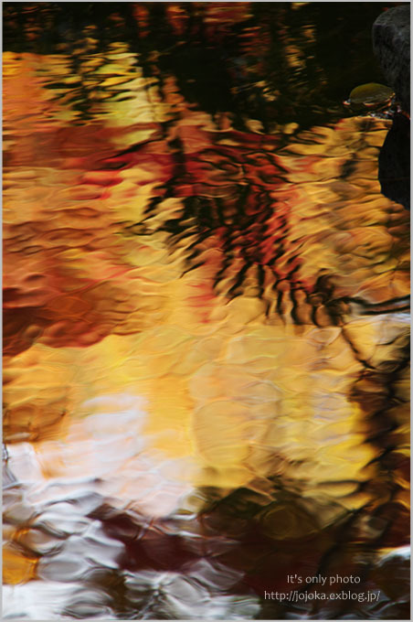 e0008800_19035008.jpg
