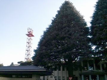 2016年12月6日（火）； 曇～晴れ_d0051601_23555519.jpg