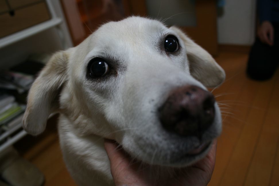 春ちゃん 新生活スタート!_f0242002_23434396.jpg