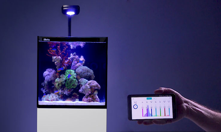 Redseaから小型オールインワン水槽セットが新発売 ビーボックスアクアリウム 用品情報 Redseaから小型オールインワン水槽セットが新発売 ビーボックスアクアリウム 用品情報