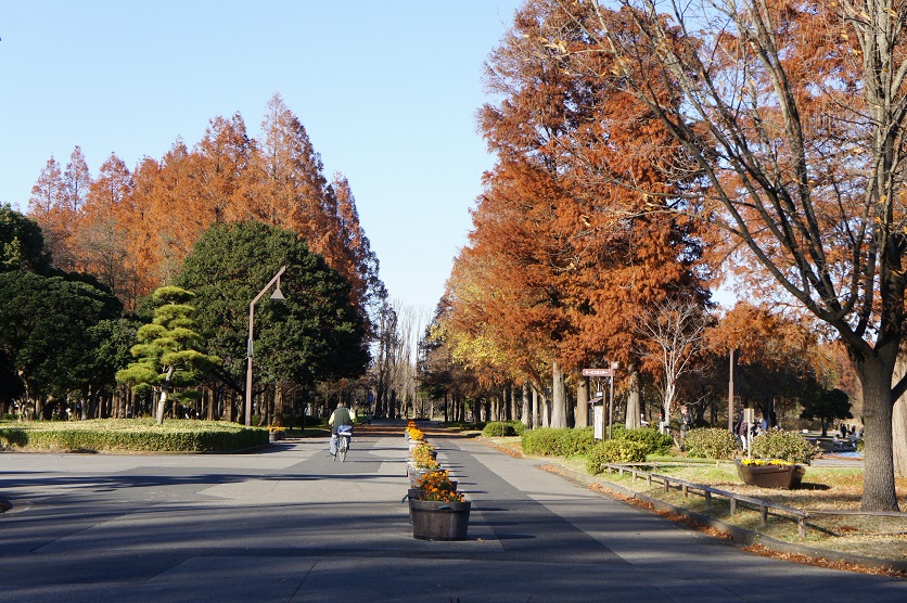 b0112909_19275320.jpg
