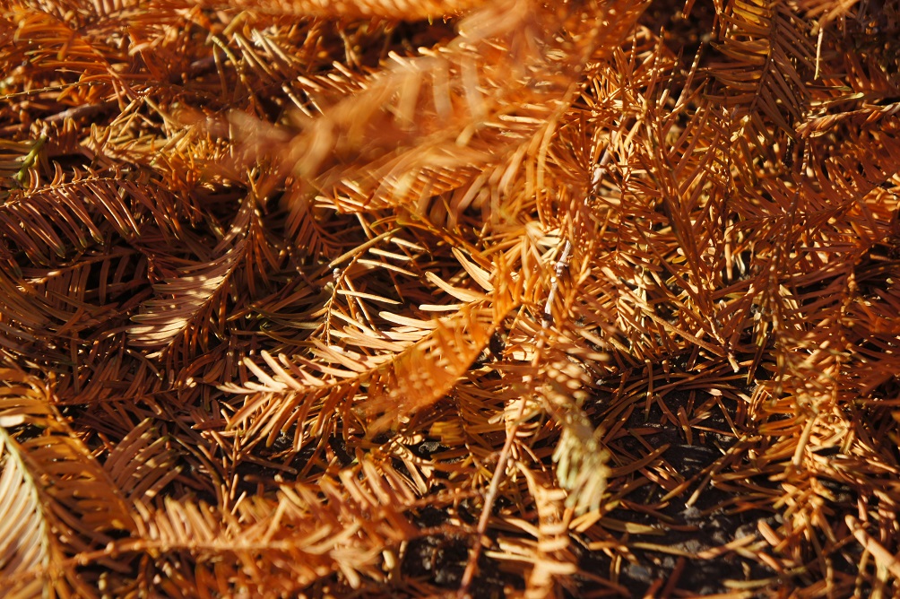 b0112909_1941952.jpg