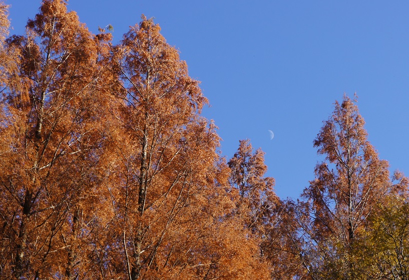 b0112909_20343470.jpg