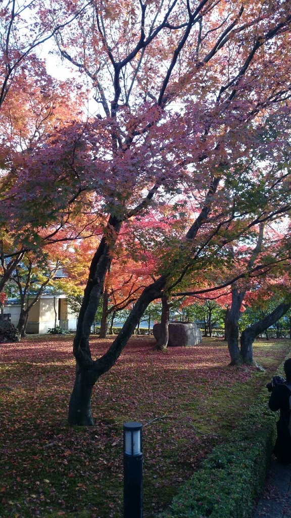 b0247609_13052309.jpg