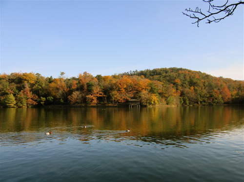 a0164011_23231763.jpg