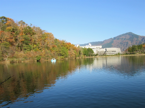 a0164011_23232338.jpg