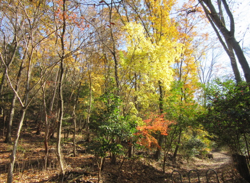 a0164011_23232917.jpg