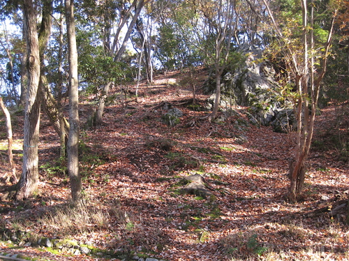 a0164011_232473.jpg
