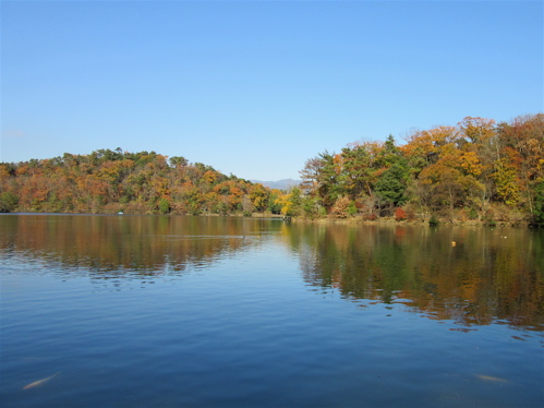 a0164011_23251959.jpg