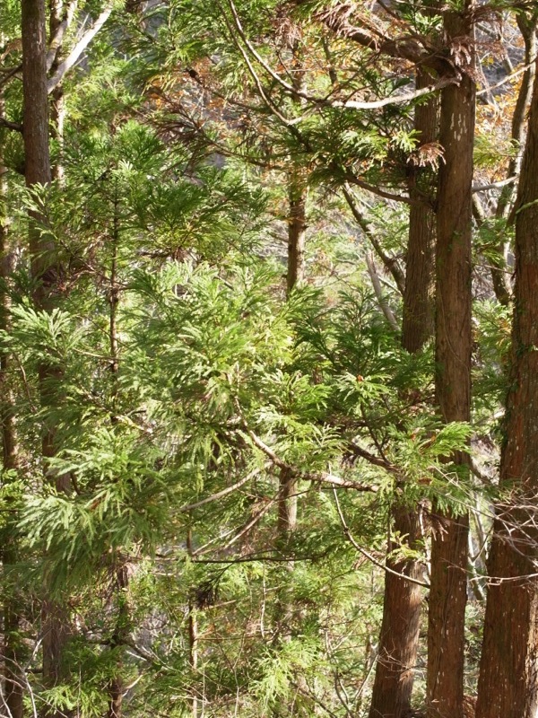 e0276411_0101246.jpg