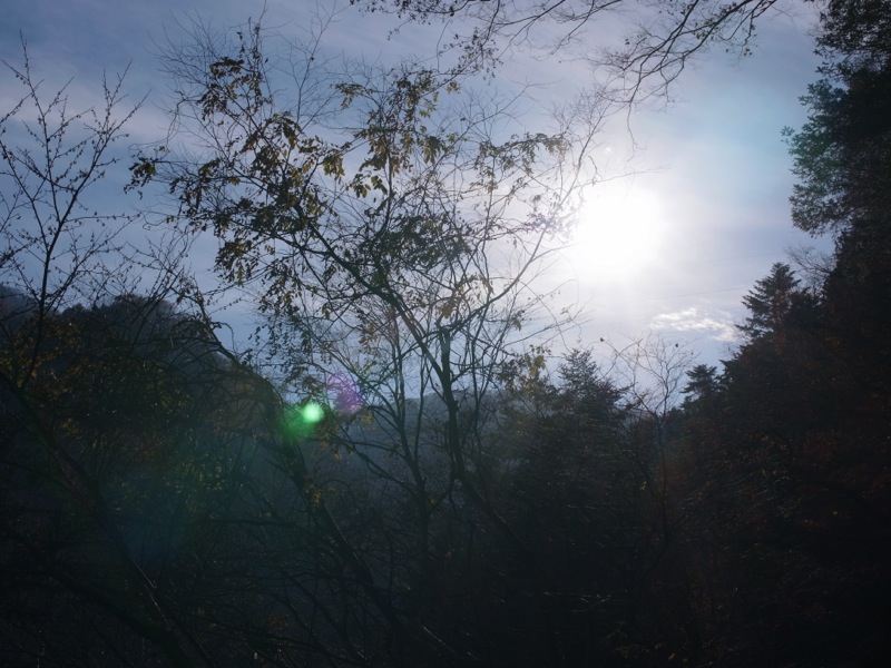 e0276411_010150.jpg