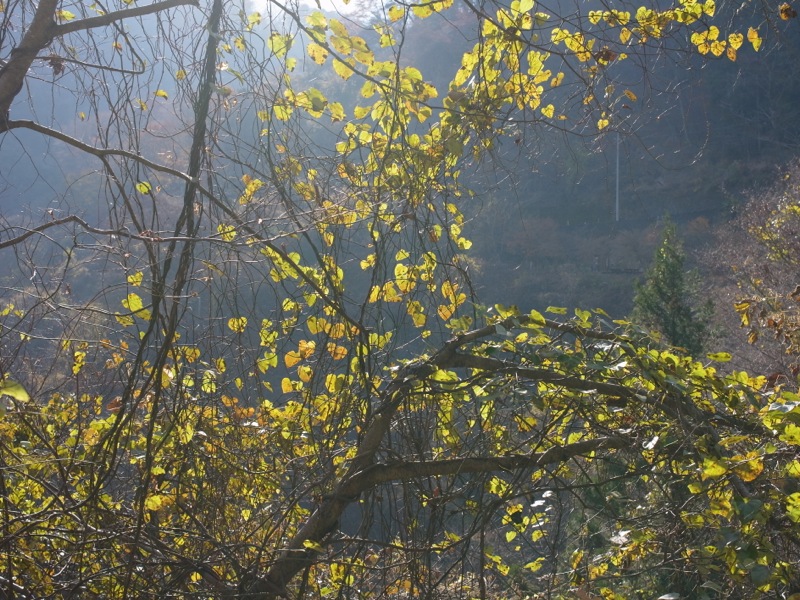 e0276411_0101585.jpg
