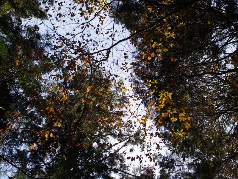 e0276411_010715.jpg