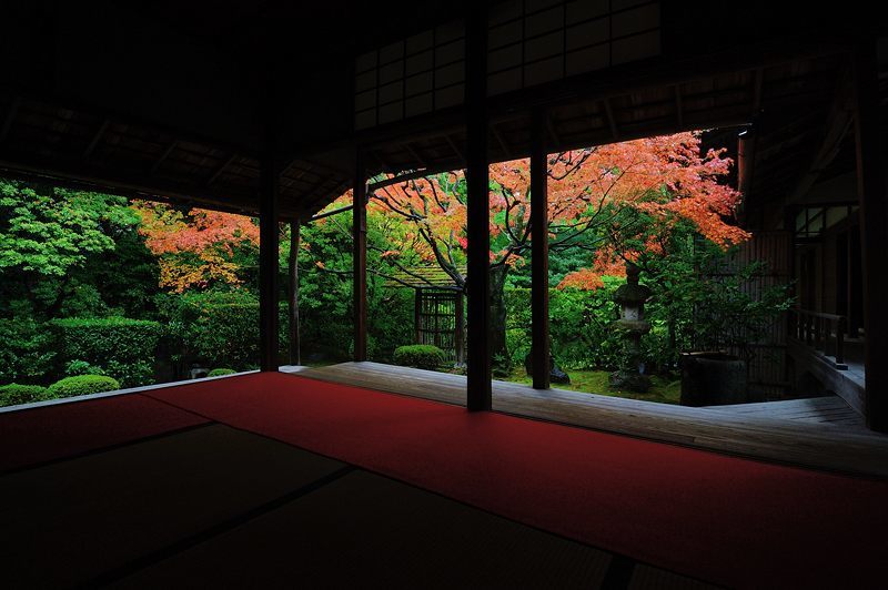 2016紅葉@花園 妙心寺塔頭・桂春院_f0032011_19421302.jpg