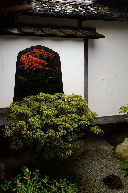 2016紅葉@花園 妙心寺塔頭・桂春院_f0032011_19421366.jpg