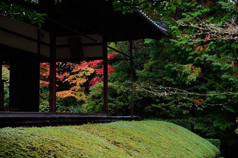 2016紅葉@花園 妙心寺塔頭・桂春院_f0032011_19475101.jpg
