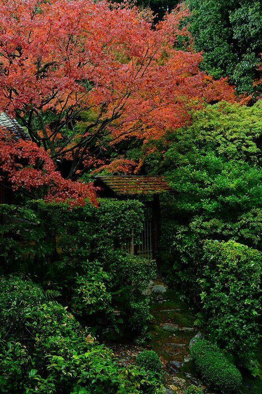 2016紅葉@花園 妙心寺塔頭・桂春院_f0032011_19475177.jpg