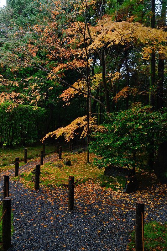 2016紅葉@花園 妙心寺塔頭・桂春院_f0032011_19475220.jpg