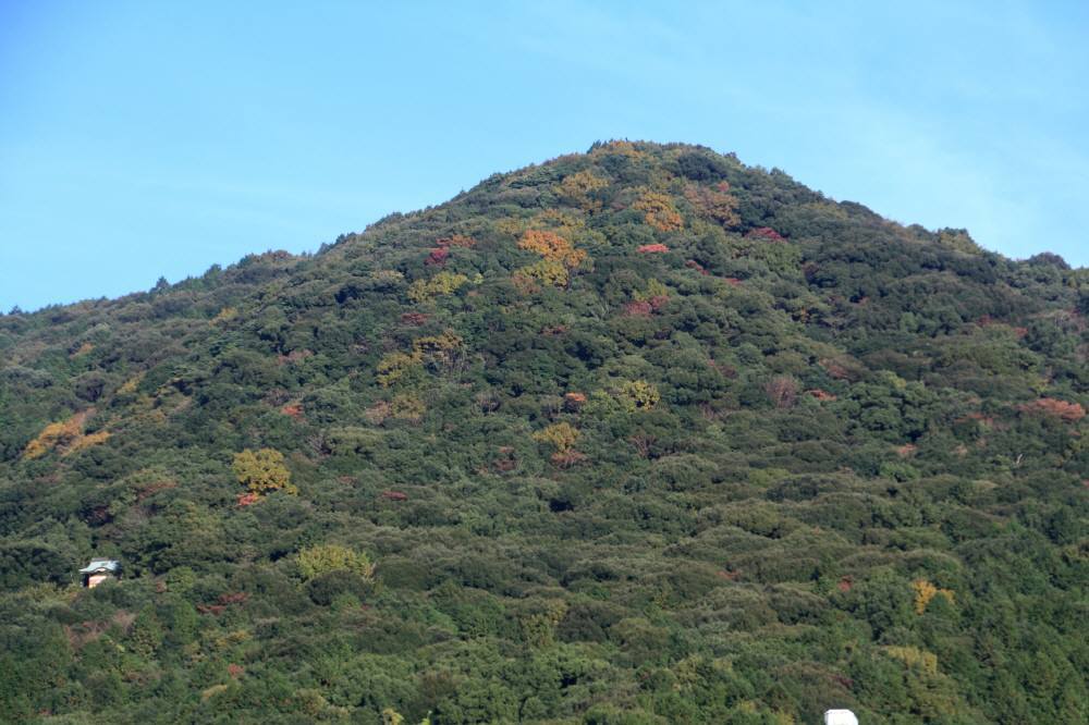 f0212511_05472458.jpg