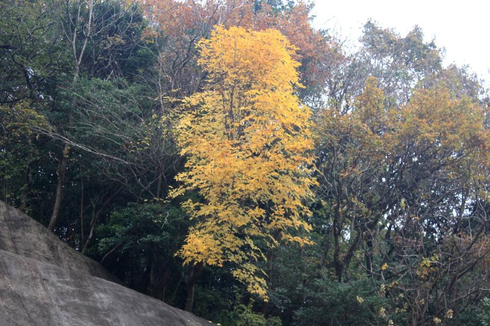 f0212511_06115989.jpg