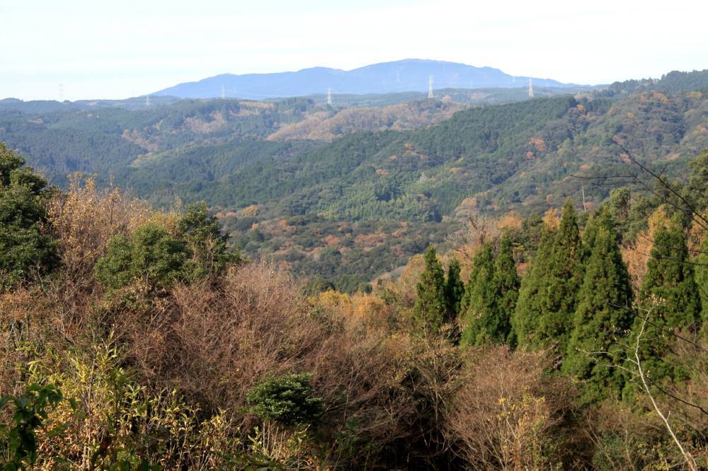 f0212511_06124434.jpg