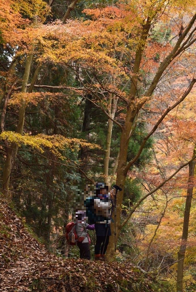 2016/12/4 石尊山～仙人ヶ岳縦走_a0340812_15272430.jpg