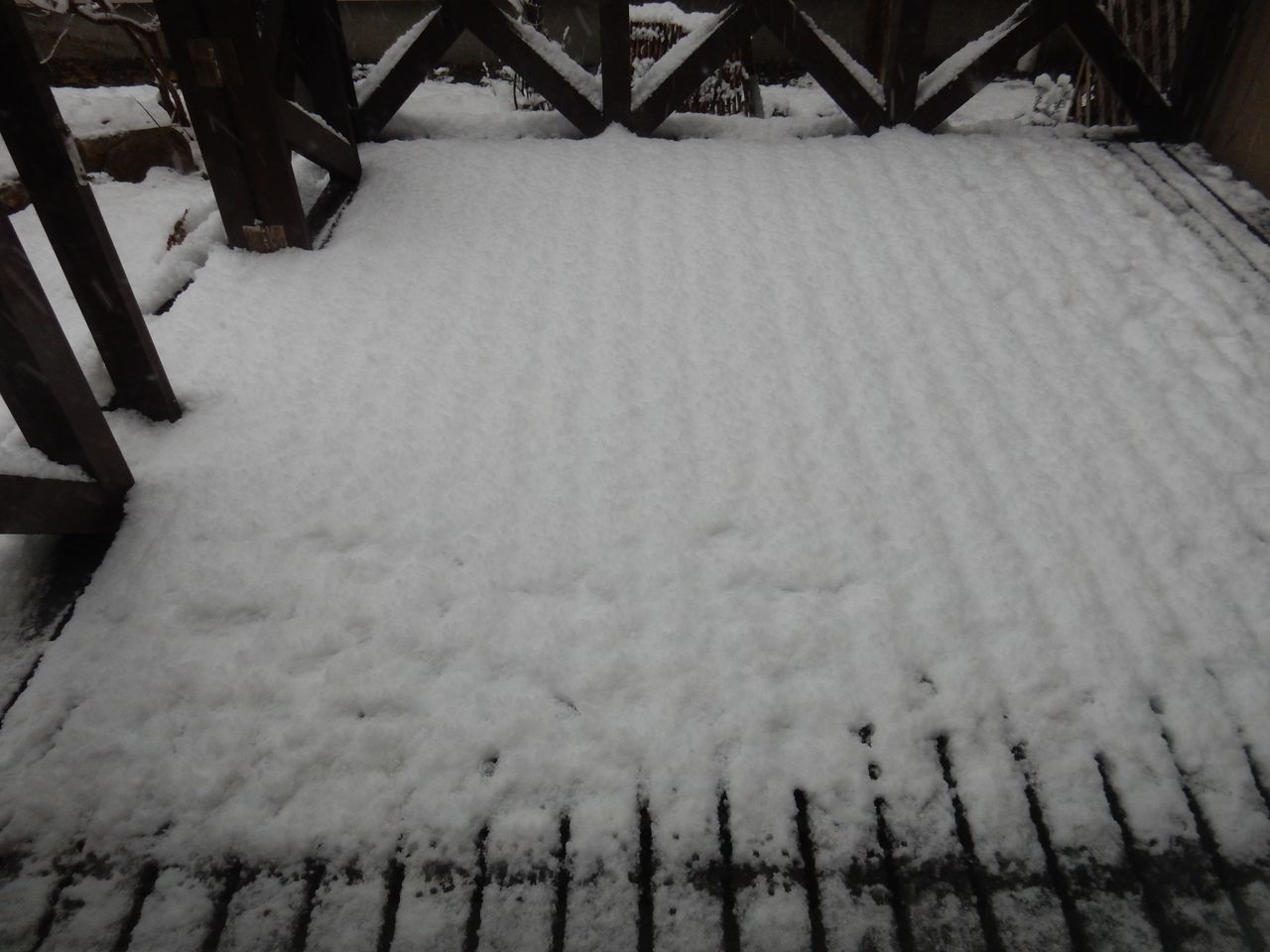 夜が明けるとそこは雪国だった_c0025115_20411482.jpg