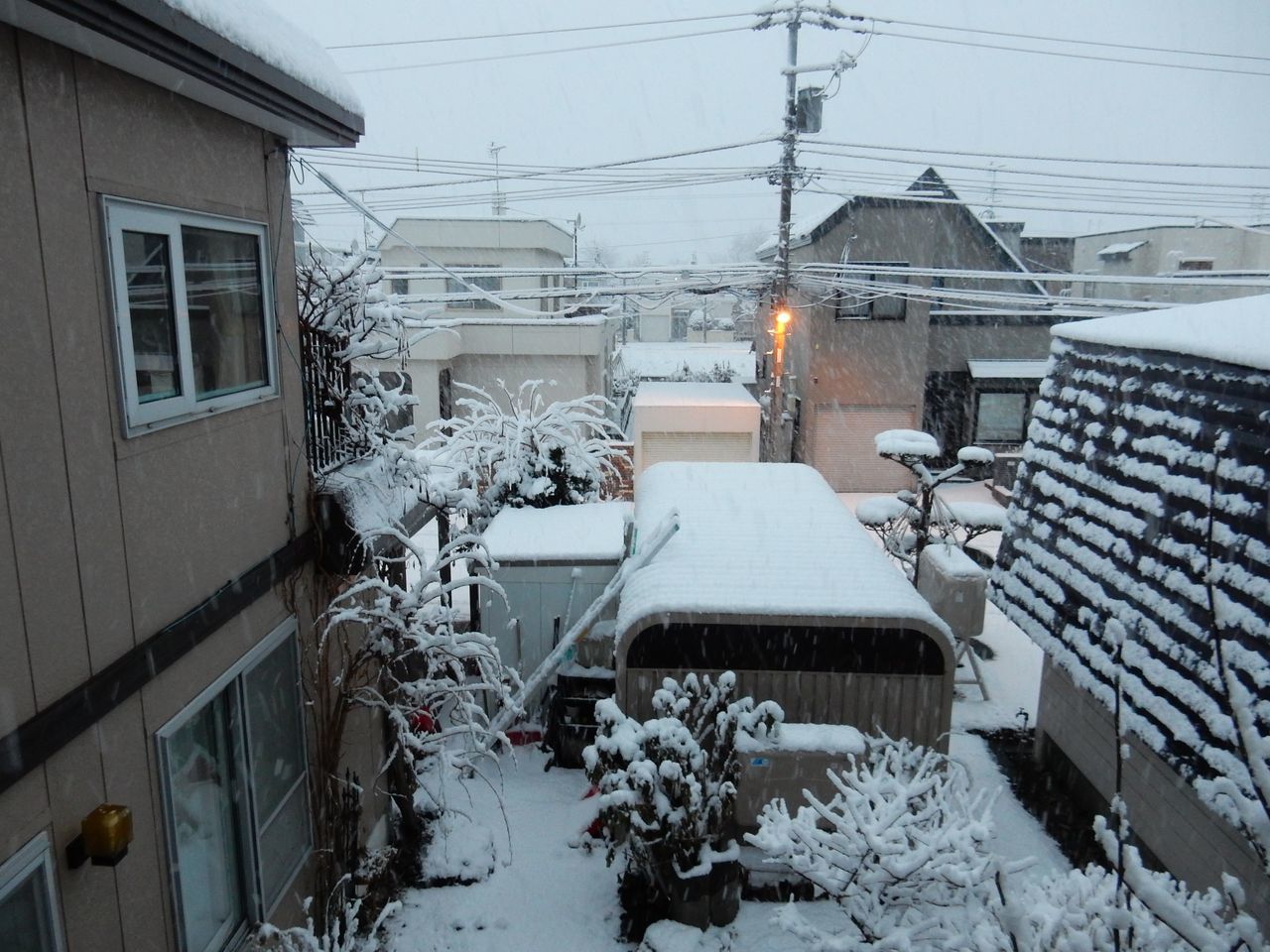 夜が明けるとそこは雪国だった_c0025115_20443646.jpg