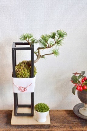 12月の植物ワークショップご案内_d0263815_18075460.jpg