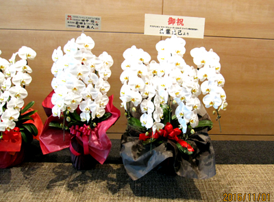 東京ミッドタウン内の法人様に５本立ち胡蝶蘭をお届け_d0029716_21471213.jpg
