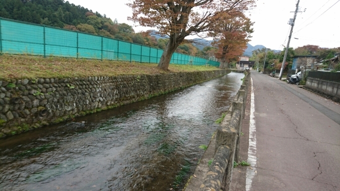 f0182618_22592859.jpg