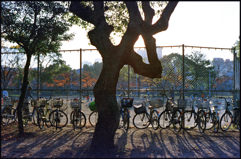 M6・Summilux 50mm f1.4 1st と X2・Elmarit 24mm f2.8_c0176622_18333720.jpg