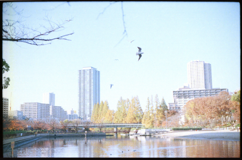 c0176622_18334249.jpg