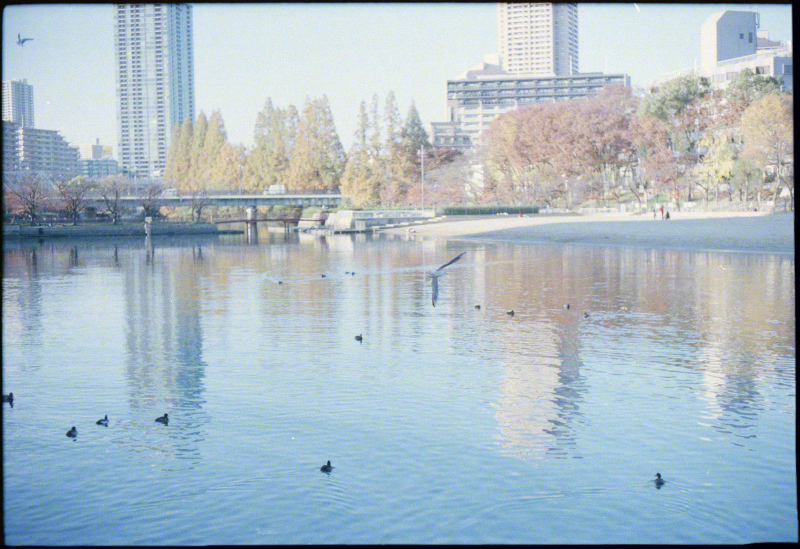 c0176622_18475351.jpg
