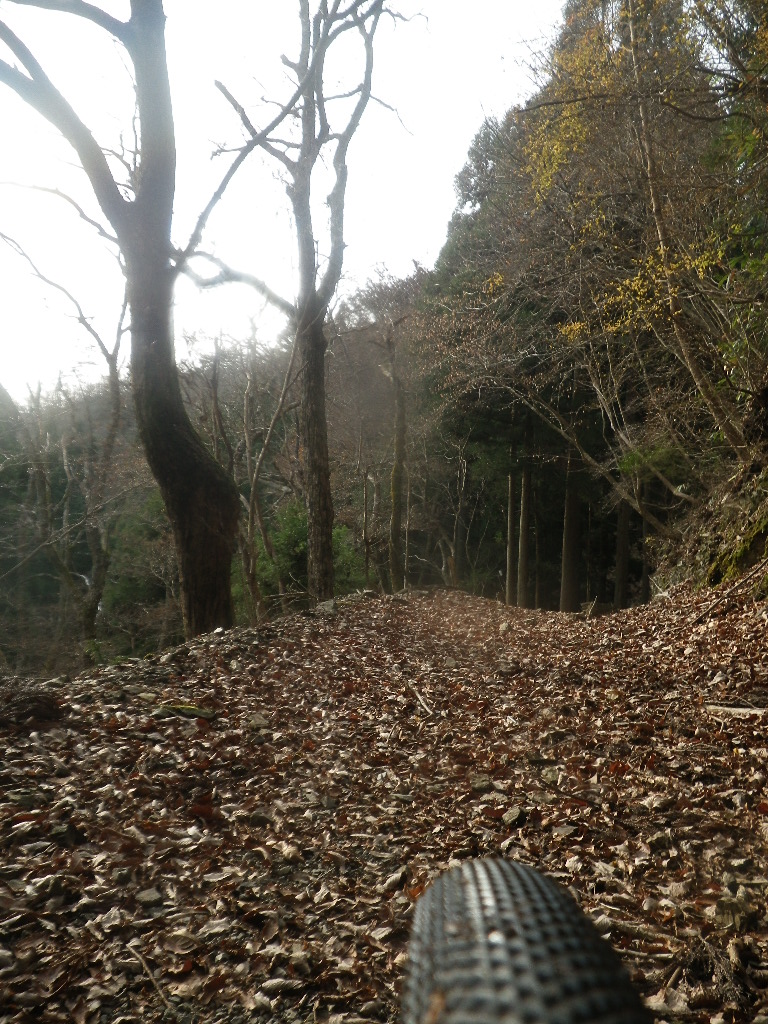 c0189724_17151461.jpg