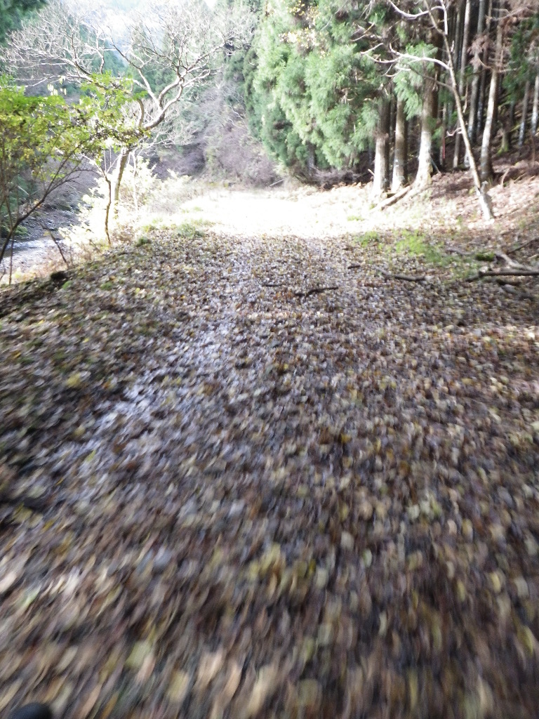 c0189724_1762980.jpg
