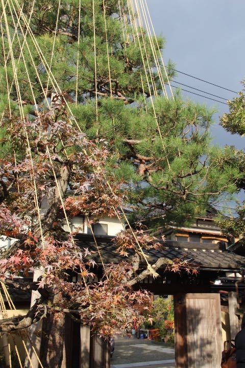 c0327528_10063776.jpg