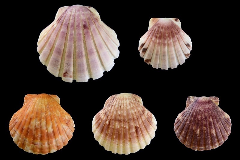 c0286530_23355904.jpg