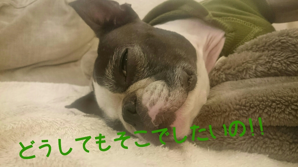 c0209932_23160763.jpg