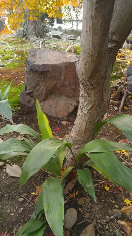 f0361132_15064626.jpg