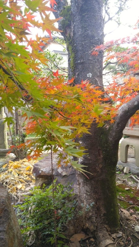 f0361132_15103675.jpg