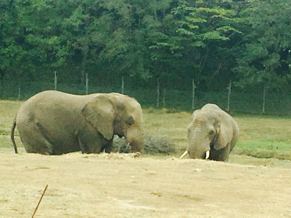 山口の旅②_c0216434_18363644.jpg