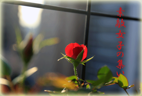 a0245136_19024578.gif