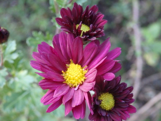 a0054240_2144671.jpg