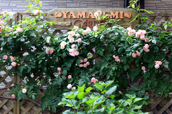 a0056140_15444513.jpg