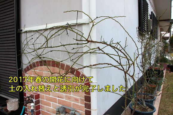 a0056140_16245300.gif