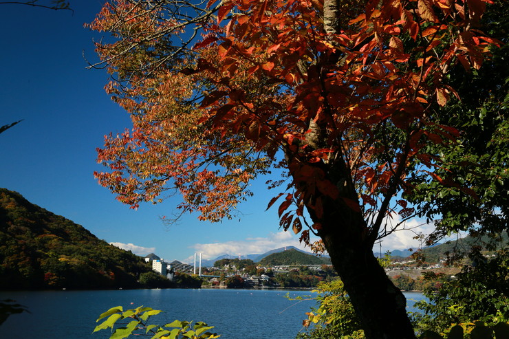 a0120949_640336.jpg