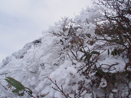 谷川岳 雪山歩き　　　2016.12.４（日）_b0335256_09293600.jpg