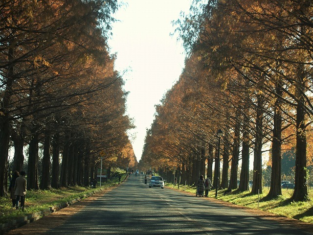 c0194161_17284896.jpg